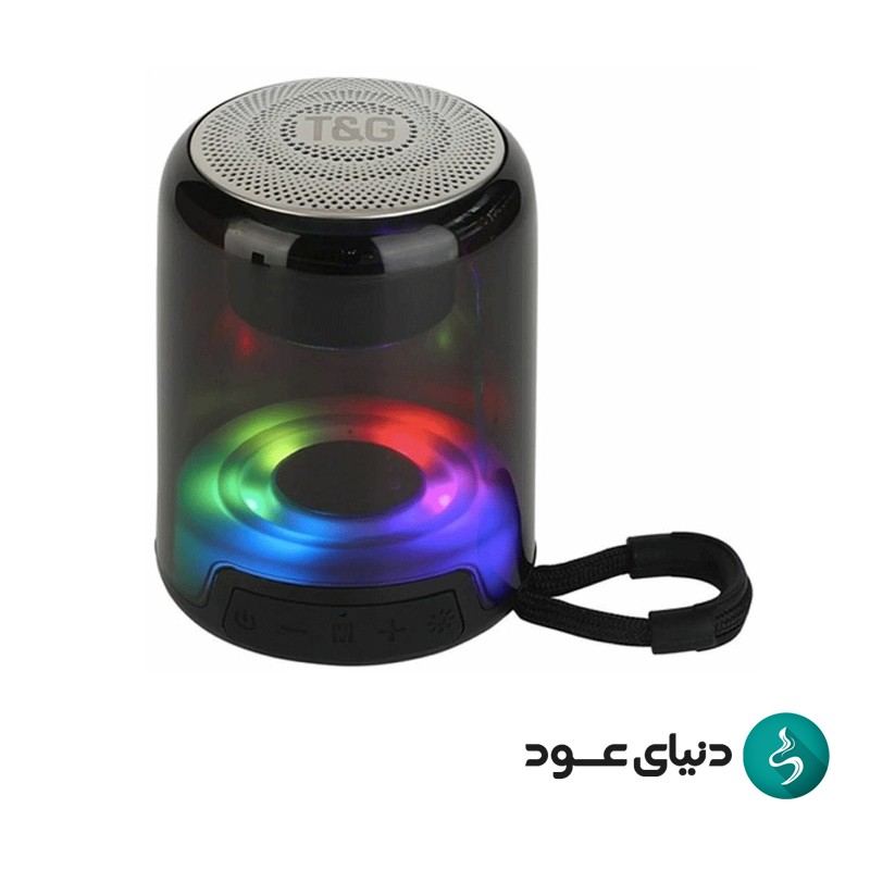 اسپیکر تی اند جی مدل T_aanndd_G TG - 314